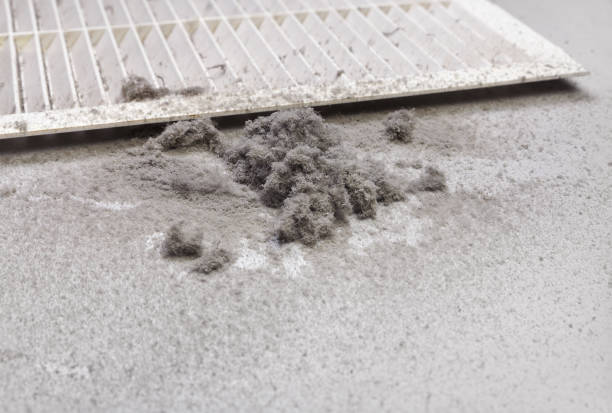 Best Commercial Air Duct Cleaning  in Heron Bay, GA